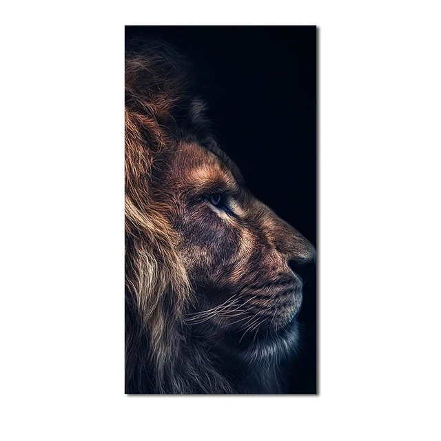 LION Diamond aye 1995・250改2004