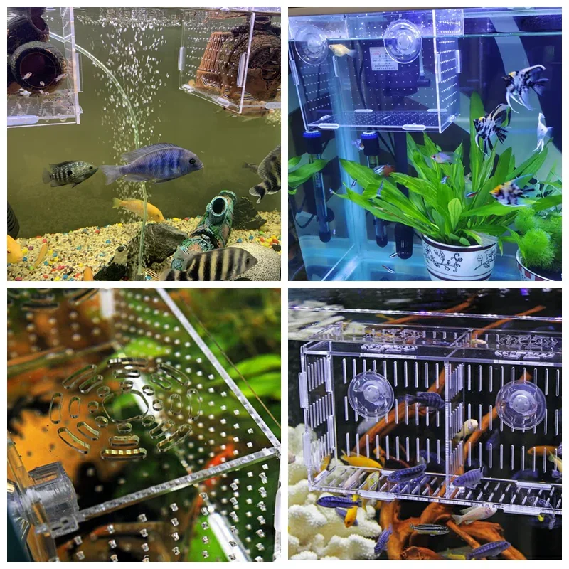 Aquarium Isolation Box Acrylic Fish Breeder Box Breeding Isolation Fish Hatchery Divider Aquarium Accessories Supplies fish breeding box