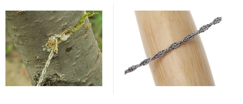 Slide image 2b80783a714a409a9aa089e44386ed89