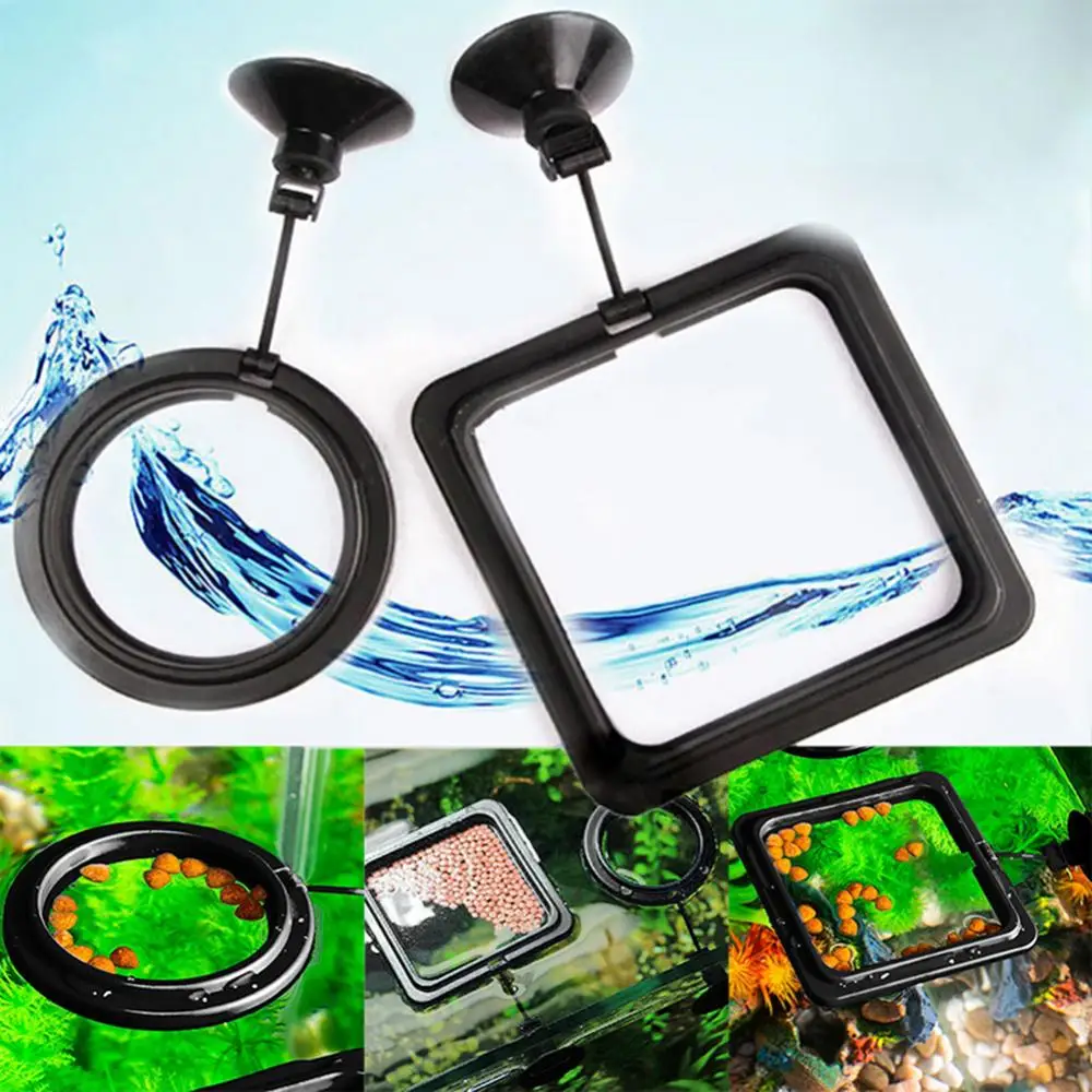 

Fish Tank Floating Food Feeder Buoyancy Ring Suction Cup Pool Feeding Tool Aquarium Feeding Ring Station Food Tray Square Circle