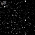 Black-Starry Sky