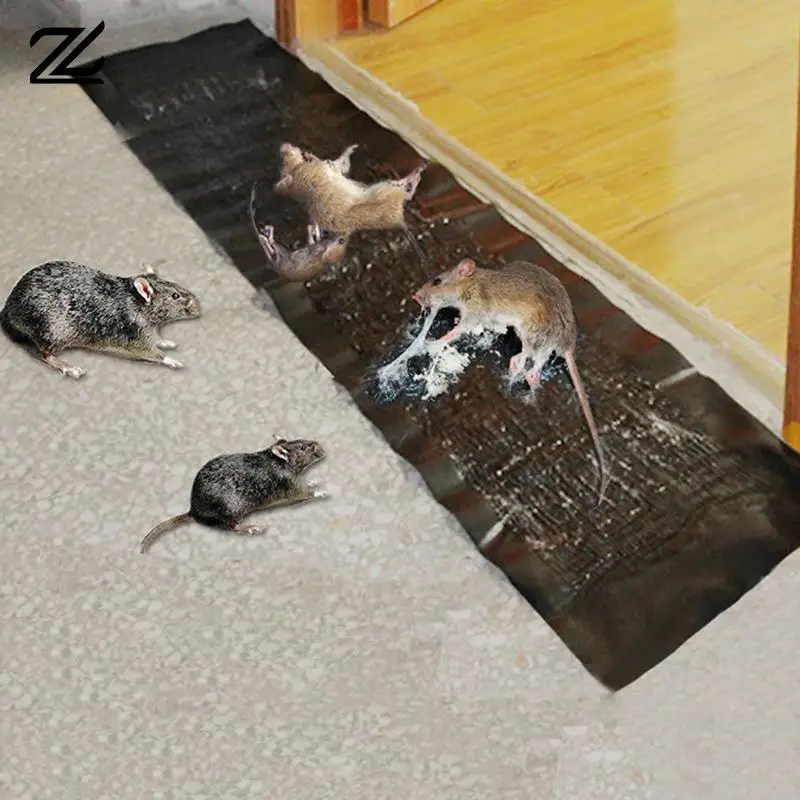 Dropship 6pcs Rat Trap; Large Mouse Traps; Mouse Traps Indoor For