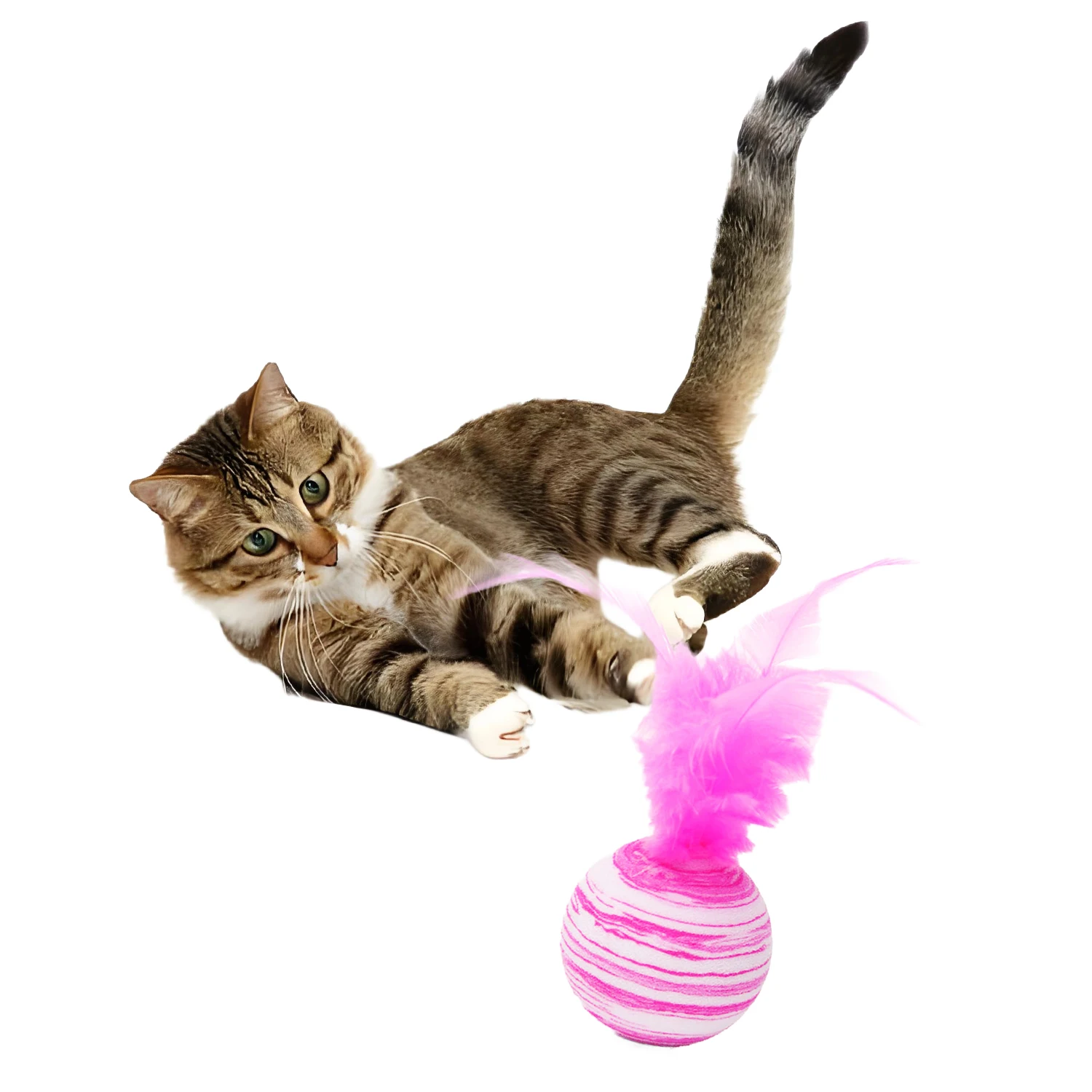 Feder Teaser Katze Spielzeug Interaktive Feder Ball für Katzen Schaum Ball Werfen Interaktive Plüsch Spielzeug Heimtierbedarf Kätzchen Spielzeug – Detail 7