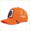 Leopard Orange