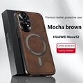 Brown-Magnetic