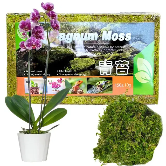 Sphagnum Moha Organikus Műtrágya 150G Természetes Cserepes Keverék Táplálkozási Könnyen Használható Növényi Növekedési Kézművességhez - Image 2