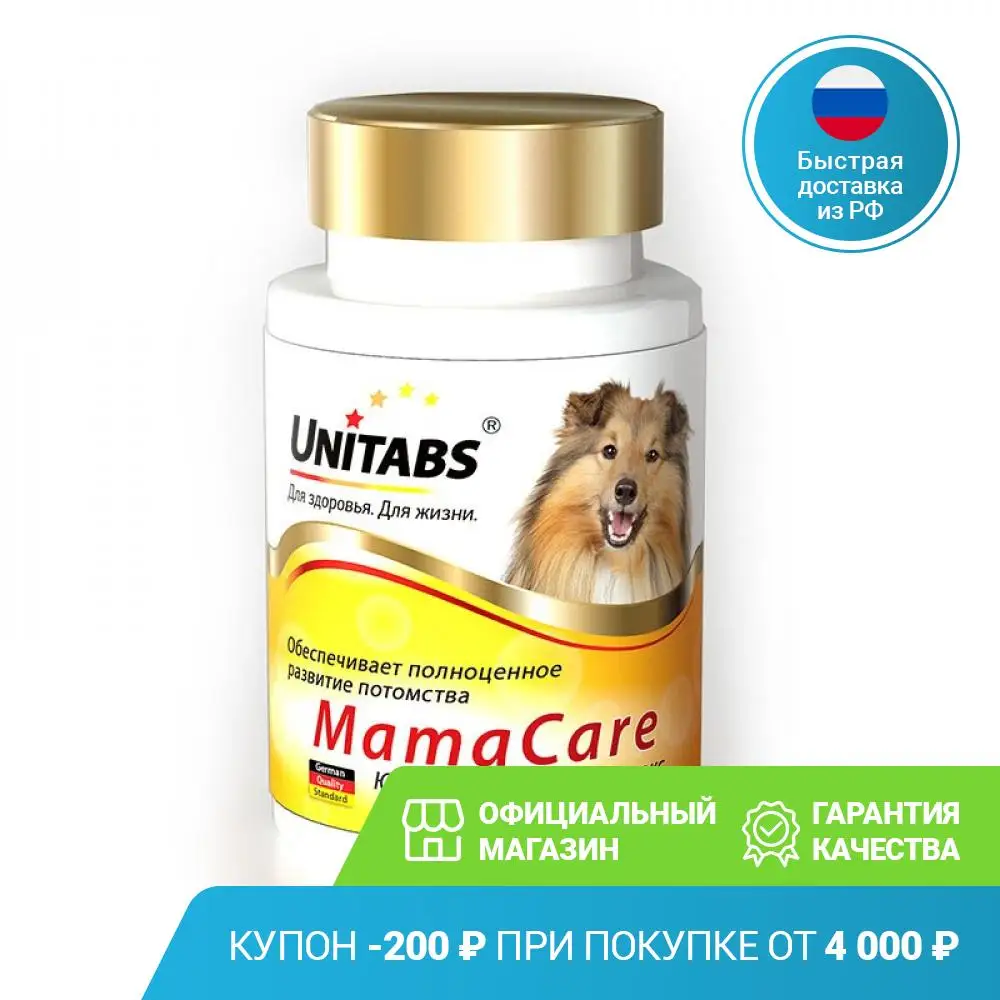Do Pregnant Dogs Need Vitamins