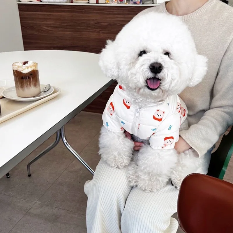 Cute Animal Bear Printed Pet Clothing Winter Dog Cotton Coat Small Dog Teddy Warm Down Coat Cartoon Two-legged Clothing