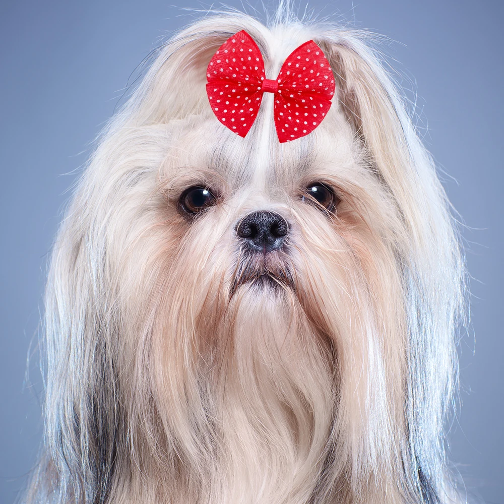 Title 20, 2PCS Lace Dotted Doggy Bows Dogs Hair Rubber Ba...