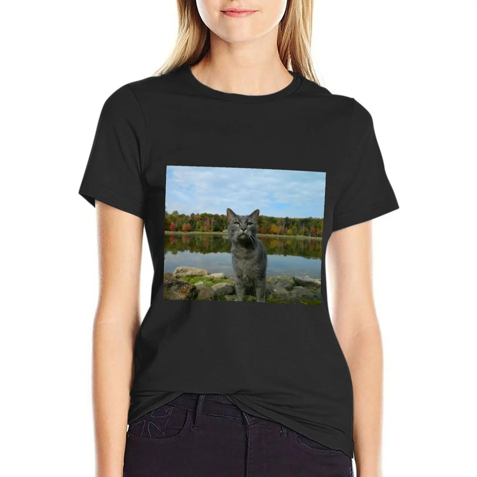 

Adventure cat on autumn lake T-shirt aesthetic clothes Female clothing plain t shirts for Women