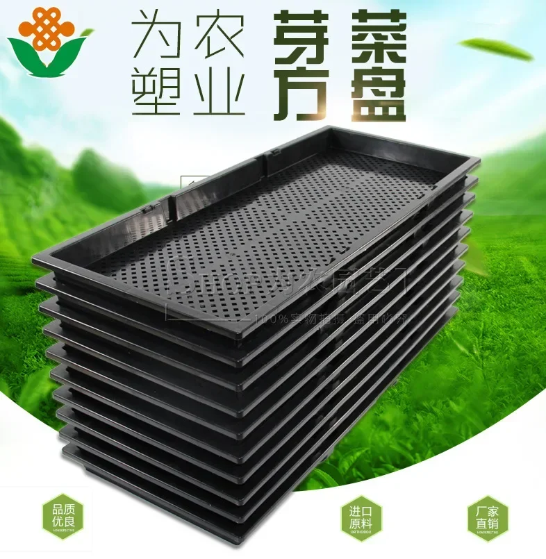 Planting Seedling Tray Sprouting Seedling Tray Succulent Sowing Culture Box