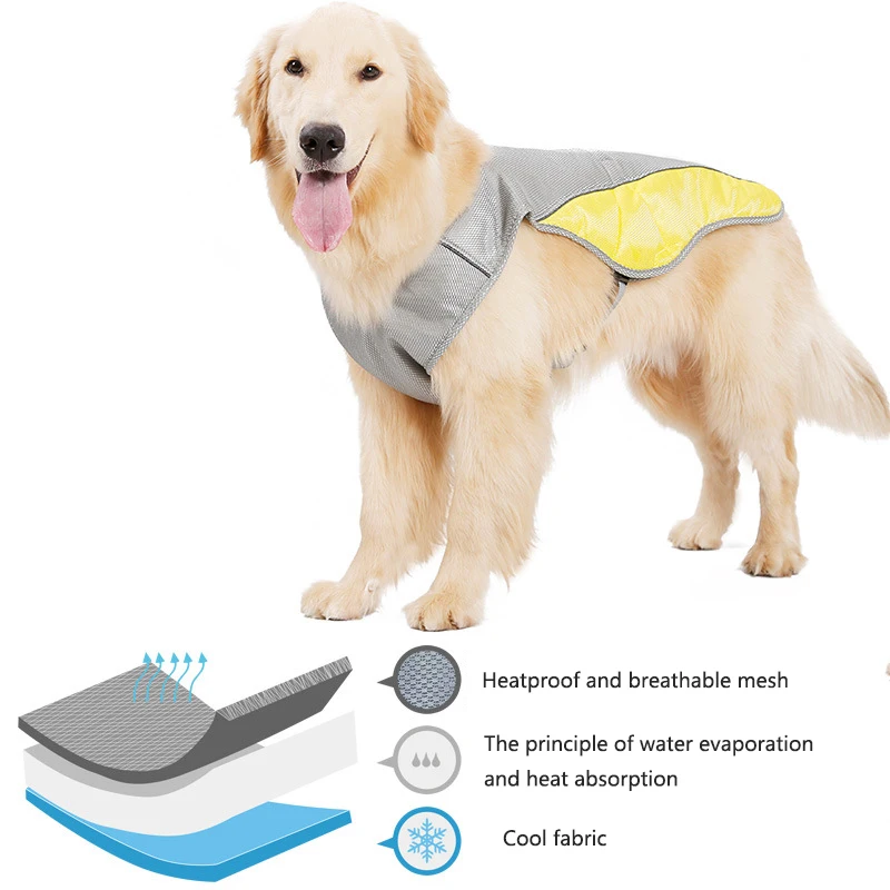 Summer Cooling Vest