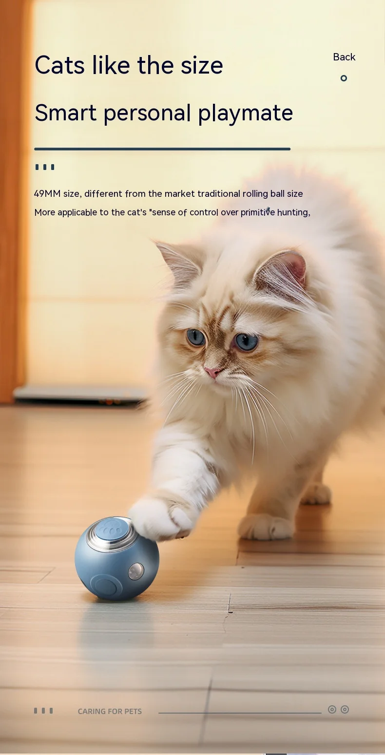 S6c22d56357764457b2e63748ae3e4118C.jpeg