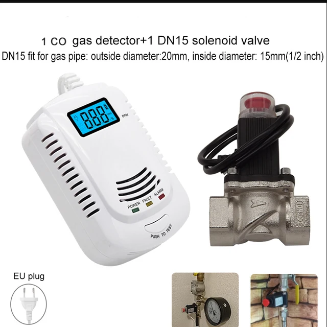 Detector with DN15