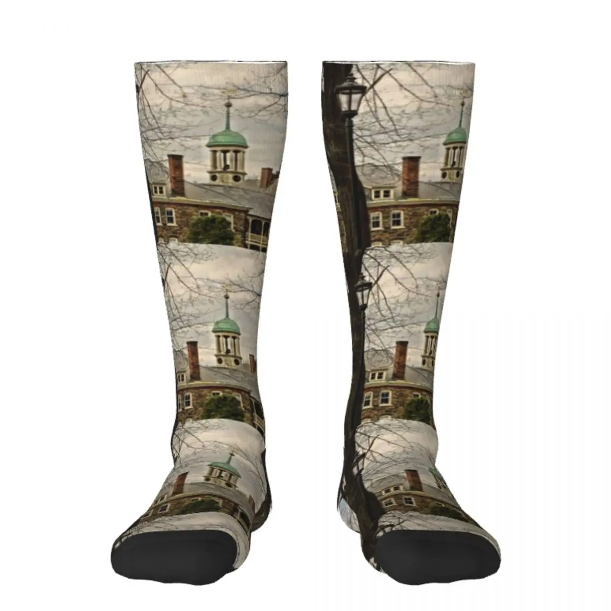 

Детские рождественские носки до щиколотки для женщин и мужчин, цв. Моравийская церковь-бетлеем