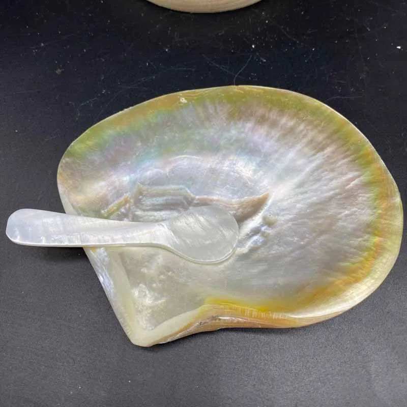 Natural Polished Yellow Pearl Shell And Spoon Creative Home Decoration Photography Props Crafts Caviar Tableware