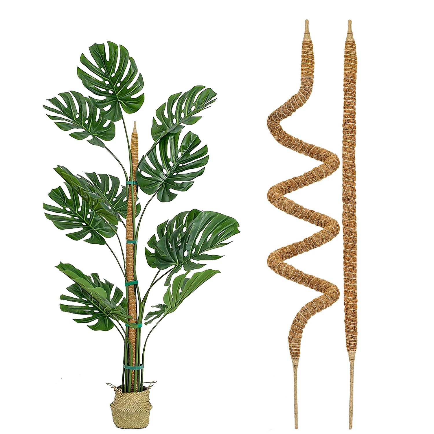 thumbnail image 1 of 1 soporte para plantas con forma de palo de musgo - Enrejado para plantas con forma de palo de musgo para plantas Monstera - Palos de musgo para plantas trepadoras Soporte para plantas, 1 of 4