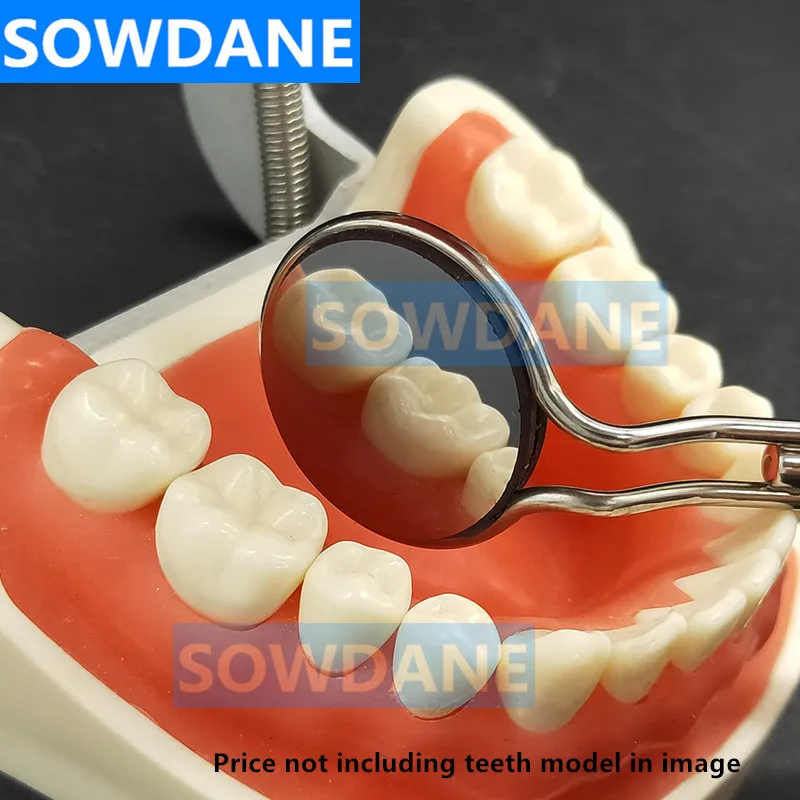 Specchio Bocca Dentista Set Maniglie Per Specchietto Dentale Medentra, Per Esami Orali E Igiene Professionale Specchio Per Igiene Orale - Foto 2