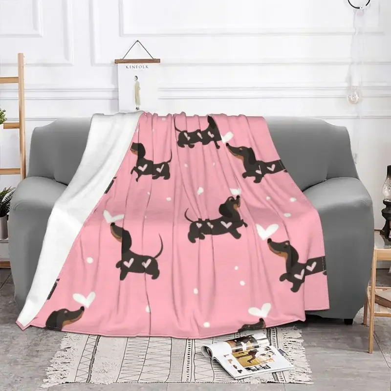 �ҽ��� �� ��� 3D �μ� �ε巯�� �ö��� ���� ������ �ڽ���Ʈ ������ ���, �ڵ��� ħ�� ���� ħ�뺸��