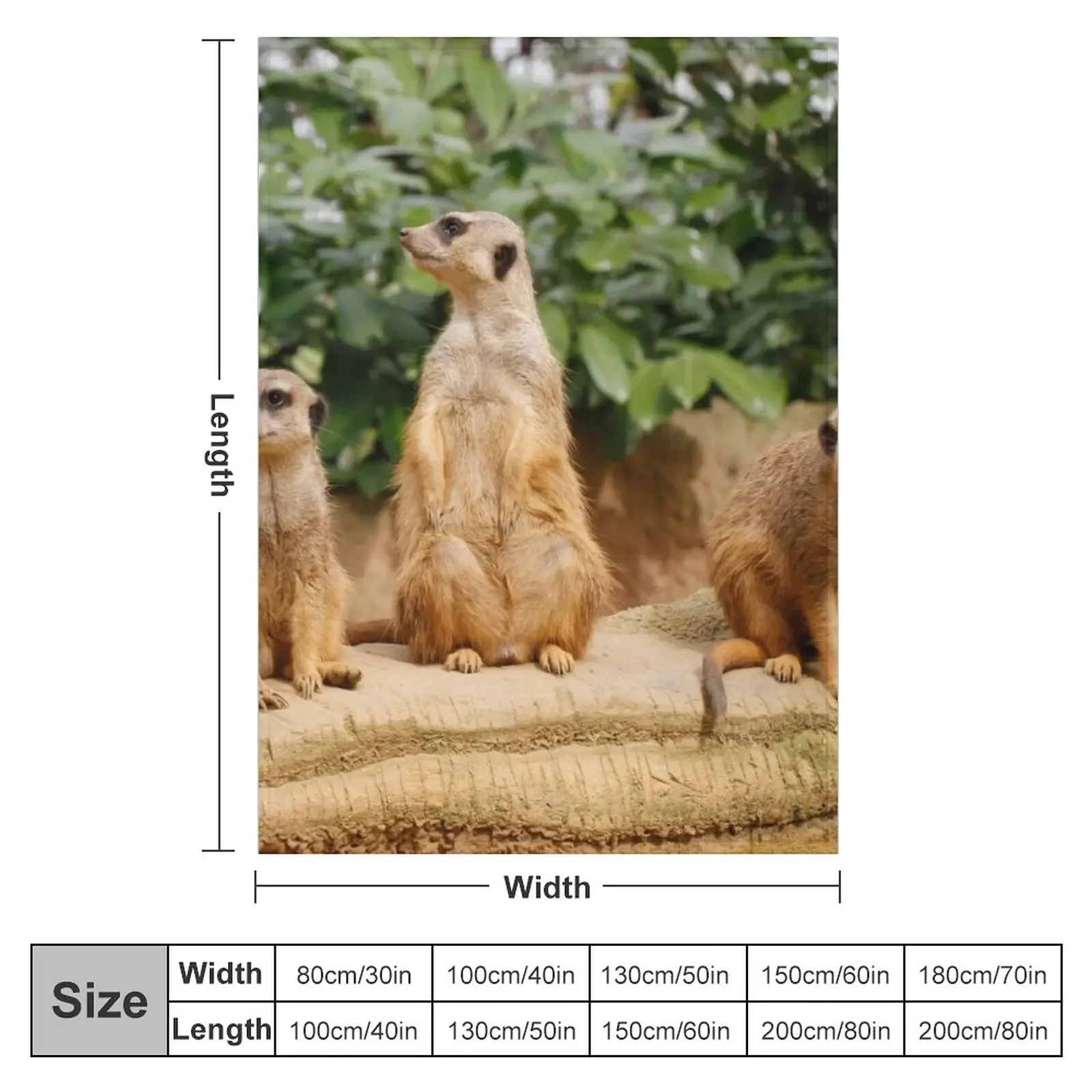 Meerkat 008 ������ ���, �м� ����, ���ſ� ���� �� ���