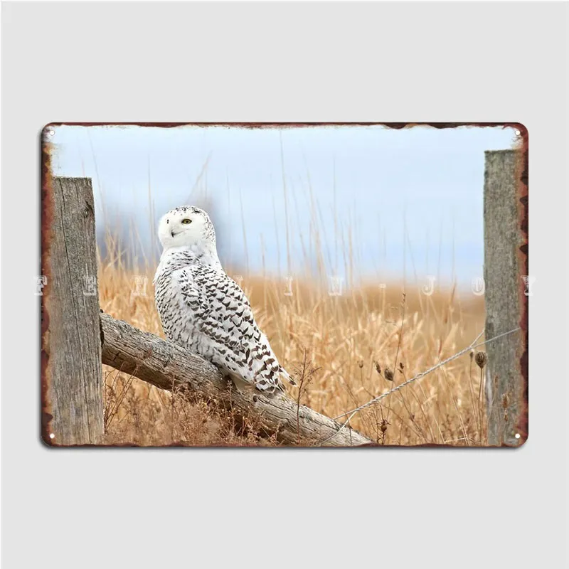 

Fields Of Gold Metal Sign Wall Pub Wall Plaque Club Bar Decoration Tin Sign Poster