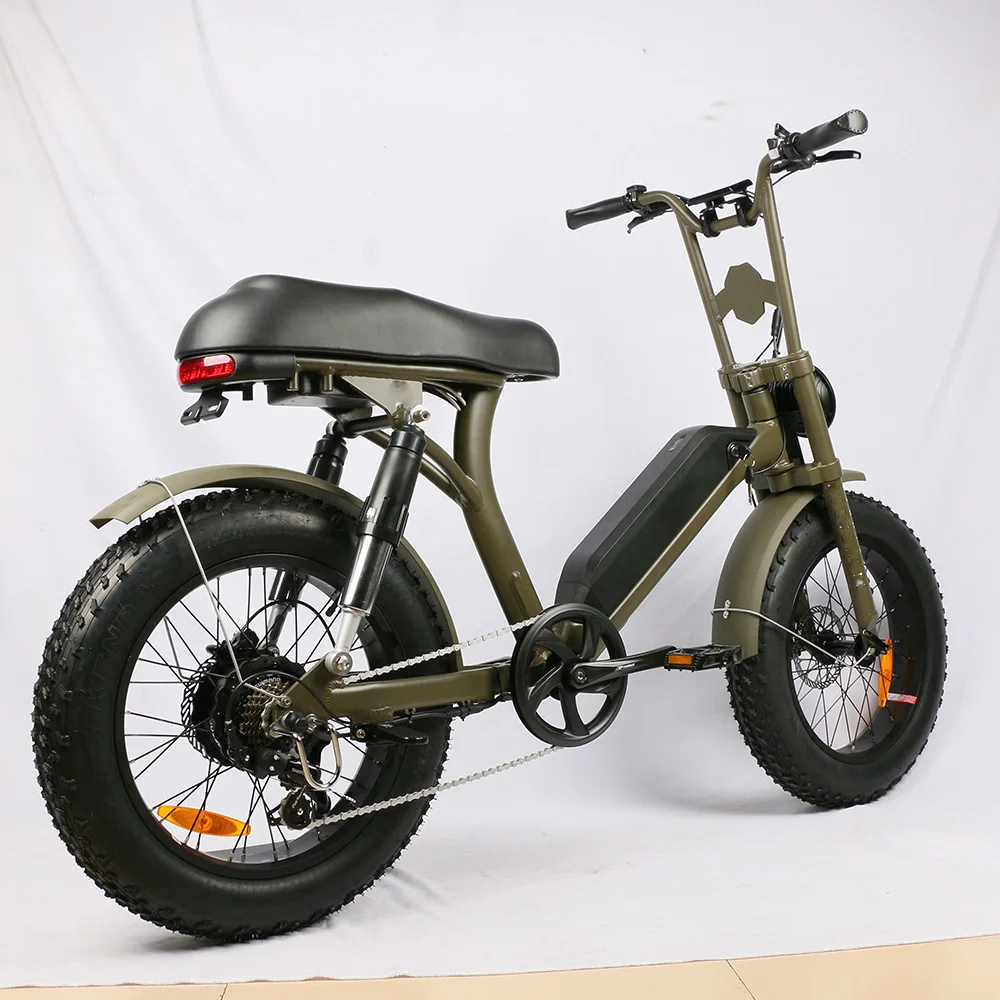 48V 250w Rear Hub Motor with 13ah Lithium Battery Dirt Bike 450cc Off-road Motorcycles E-bike 1000w Electric Bike Bafang