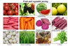 Stainless Steel Double Barrels Cold Extractor Vegetable Juicer Extractor Oil Filter Press Equipment Dehydrator Juice Press 5