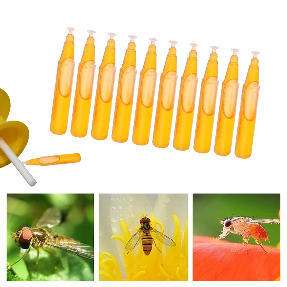 iFruit-Guard Liquid Fruit Fly Control, For Agriculture, Packaging Type:  Bottle