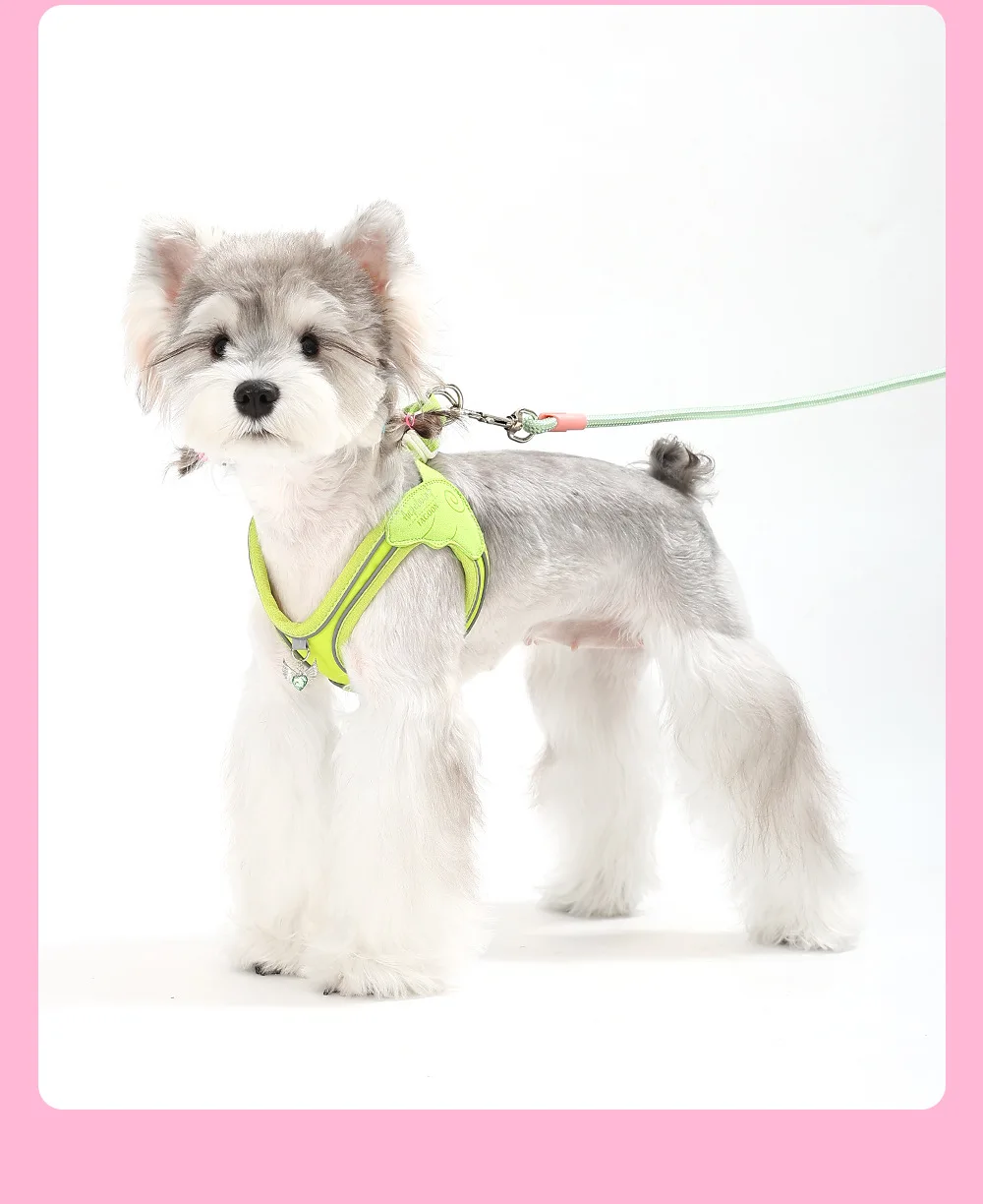 Peitoral para cães com asas de anjo macio e respirável pequenos_voghion.com