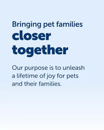 Bringing pet families closer together