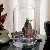 Creative Glass Cover Dome Glass Bottles Succulent Glass Vase Micro Succulent Moss Landscape Glass Terrarium Home Decoration - Image 2