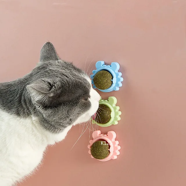 Catnip Wall Ball Licking Snacks Healthy Nutrition Ball Teeth Cleaning Catnip Toy for Cats Clean Mouth Promote Digestion Indoor 3