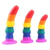 Rainbow Silicone Dildos Anal Plug Realistic Dildo Suction Cup Dildo Sex Toys for Women Lesbian Masturbators Penis tools 1