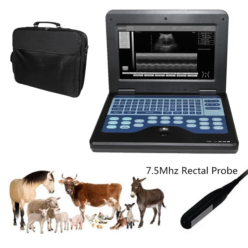 

CMS6000P2-VET 3d Laptop Vet Portable Medical Ultrasound Instruments Veterinary Scanner Machine