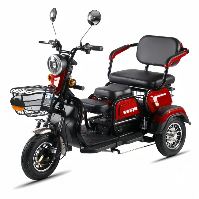 

600W 48V Electric Tricycle with Passenger Dirt Bike EV Adult Tricycles 3 Wheel Motorcycle