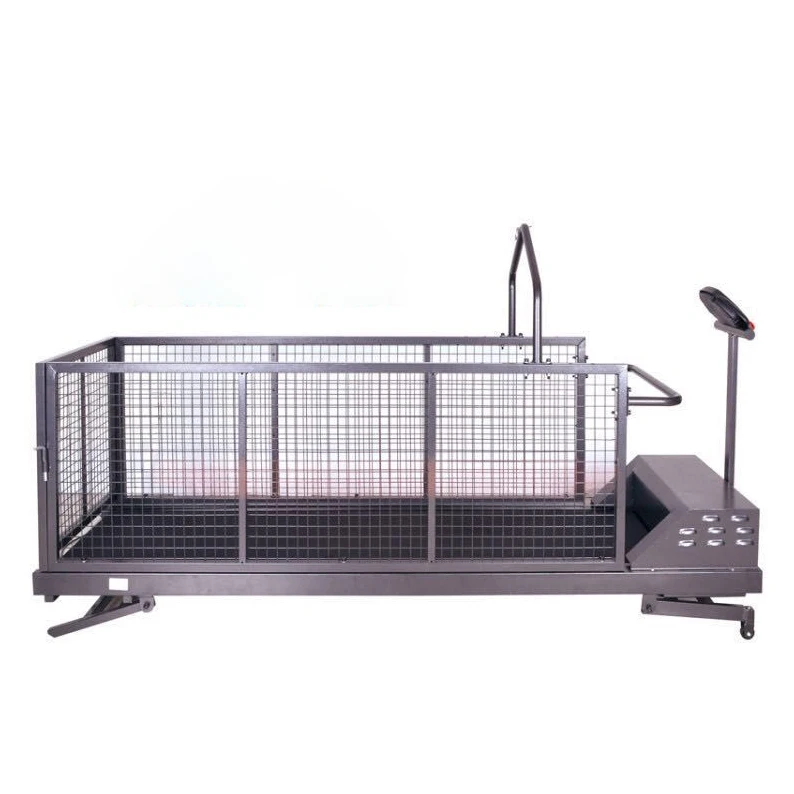 Hot Sale Pet Walking Electric Treadmill For Dog Training Adjustable Front Rear Lifting Incline Running Machine