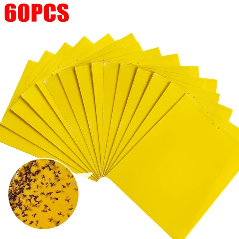 60PCS