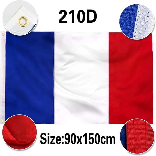 Bandiera Della Scozia 3 X 5 Piedi: Poliestere Oxford Con Occhielli - Foto 10