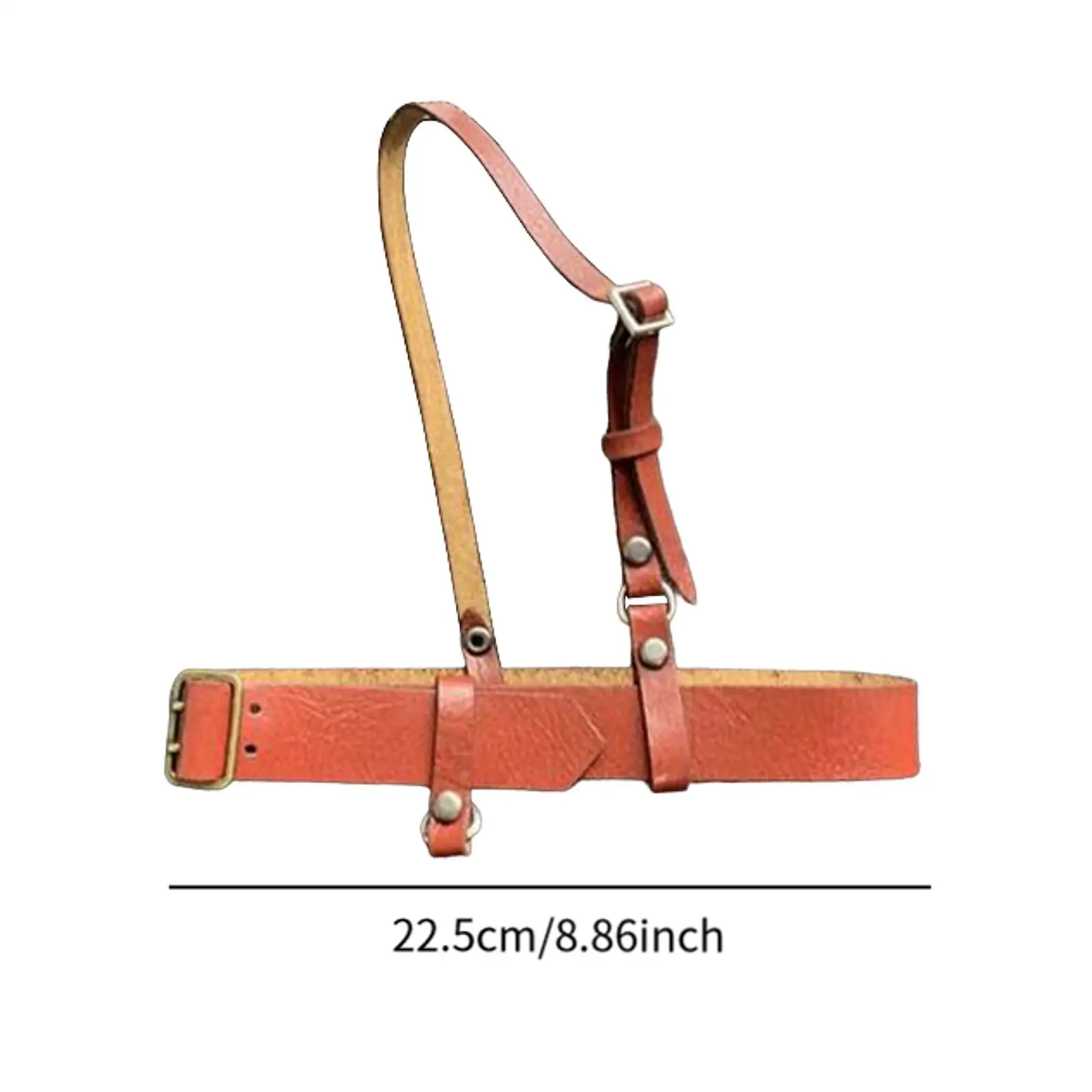 1/6 Scale Belt Leather Belt Model DIY Supplies,Handmade,Gift,Dress up Mini