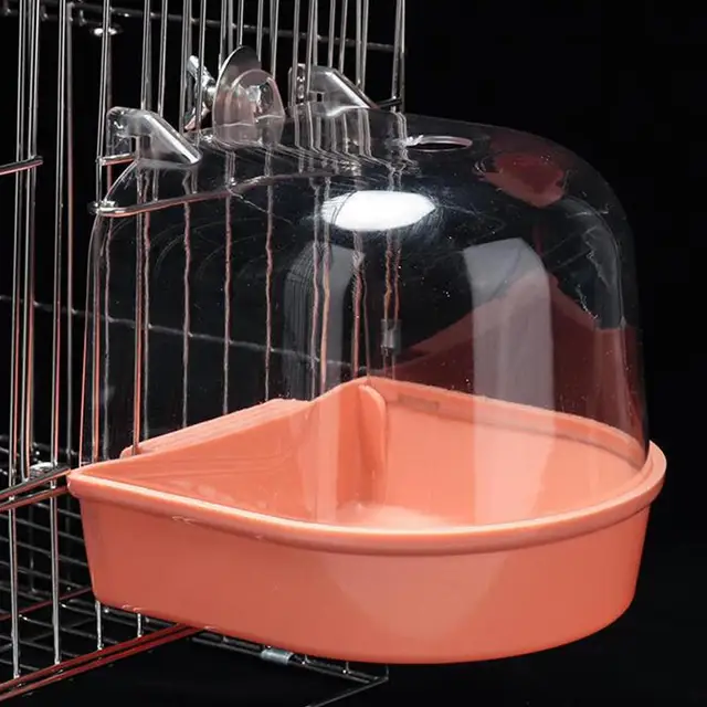 Bird Bath 4