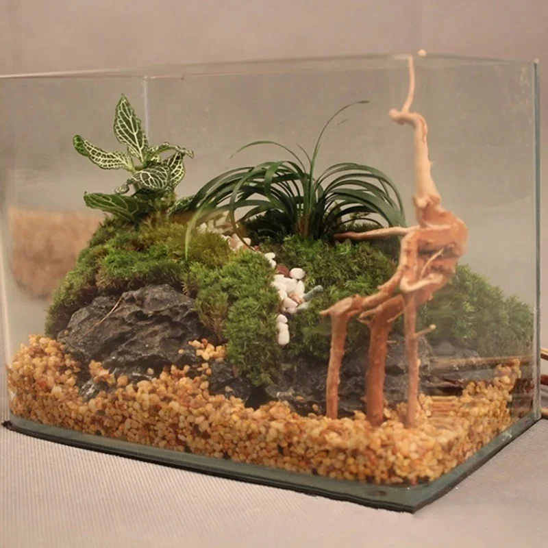 Natural Driftwood Decor 4