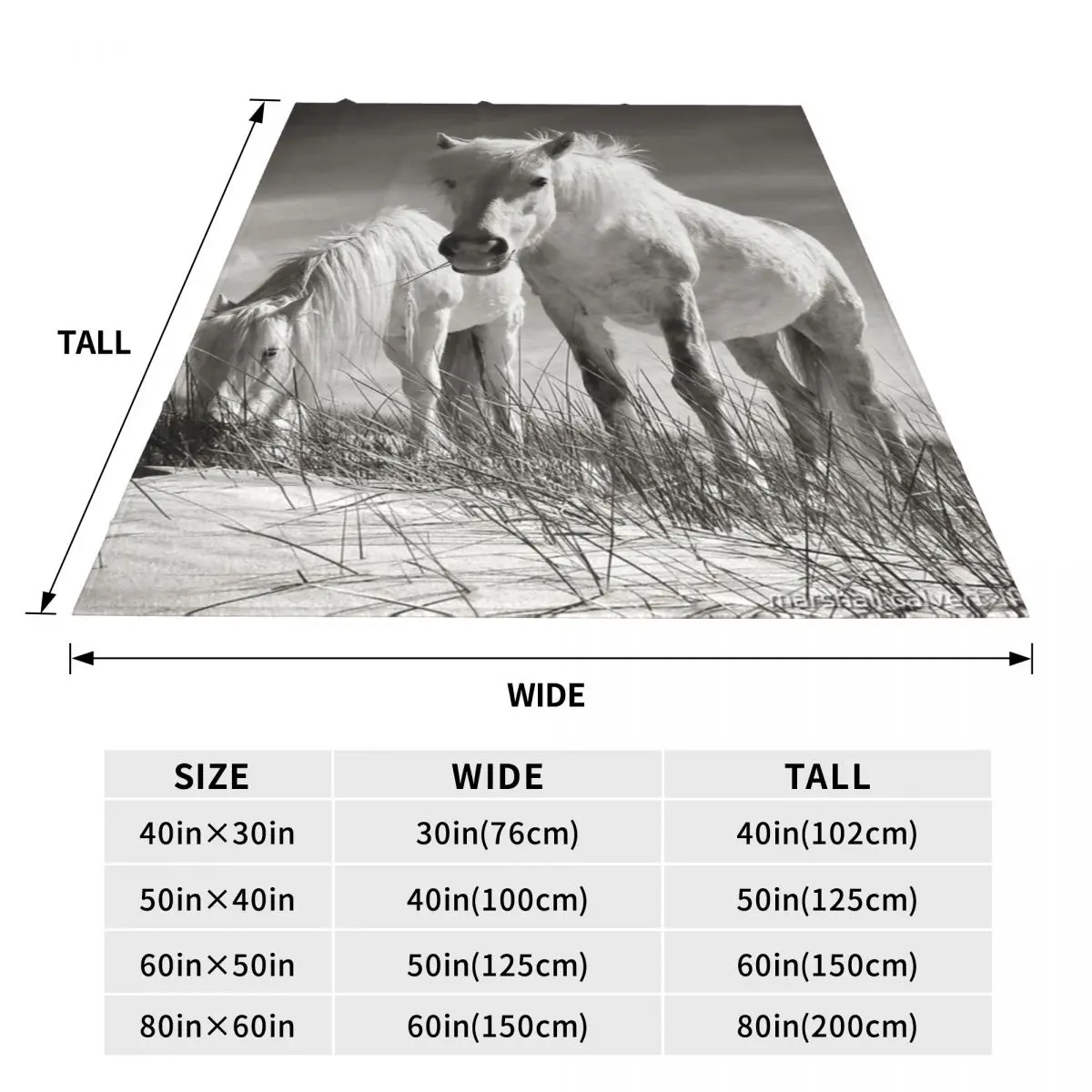 Luskentyre �� ħ�� ��� ħ�뺸, �׸� �ִ� ���� ħ��� �ִϸ��̼� ħ�뺸