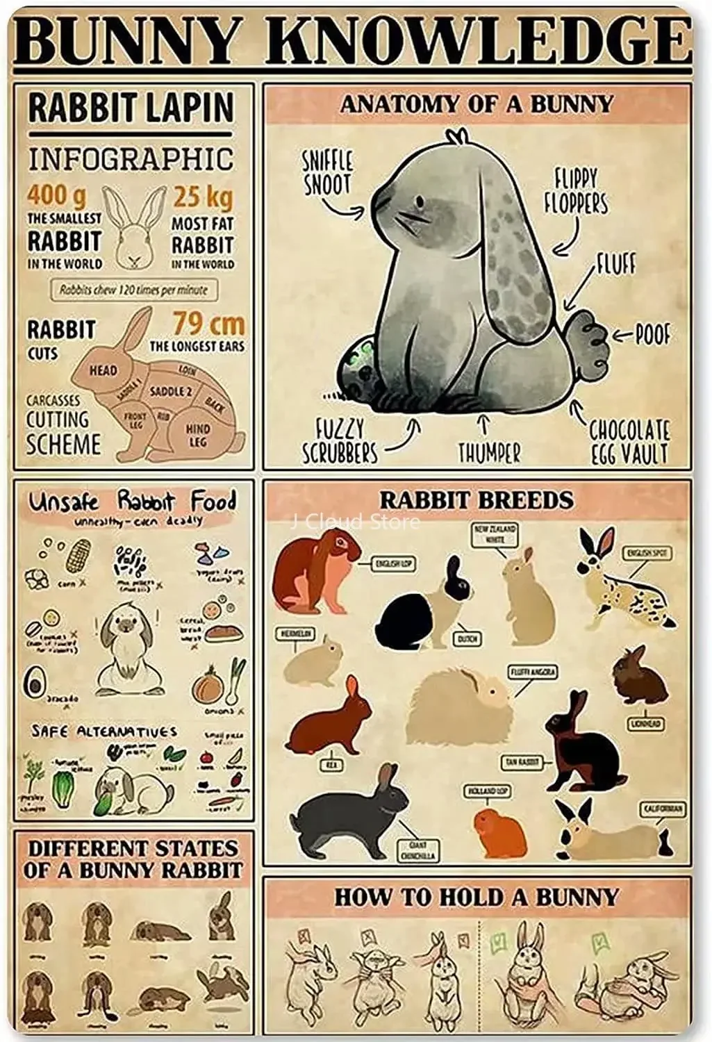 

Bunny Knowledge Metal Tin Sign Field Hockey Stick Choice Poster Plaque Wall Decoration for School Home Bedroom Kitchen