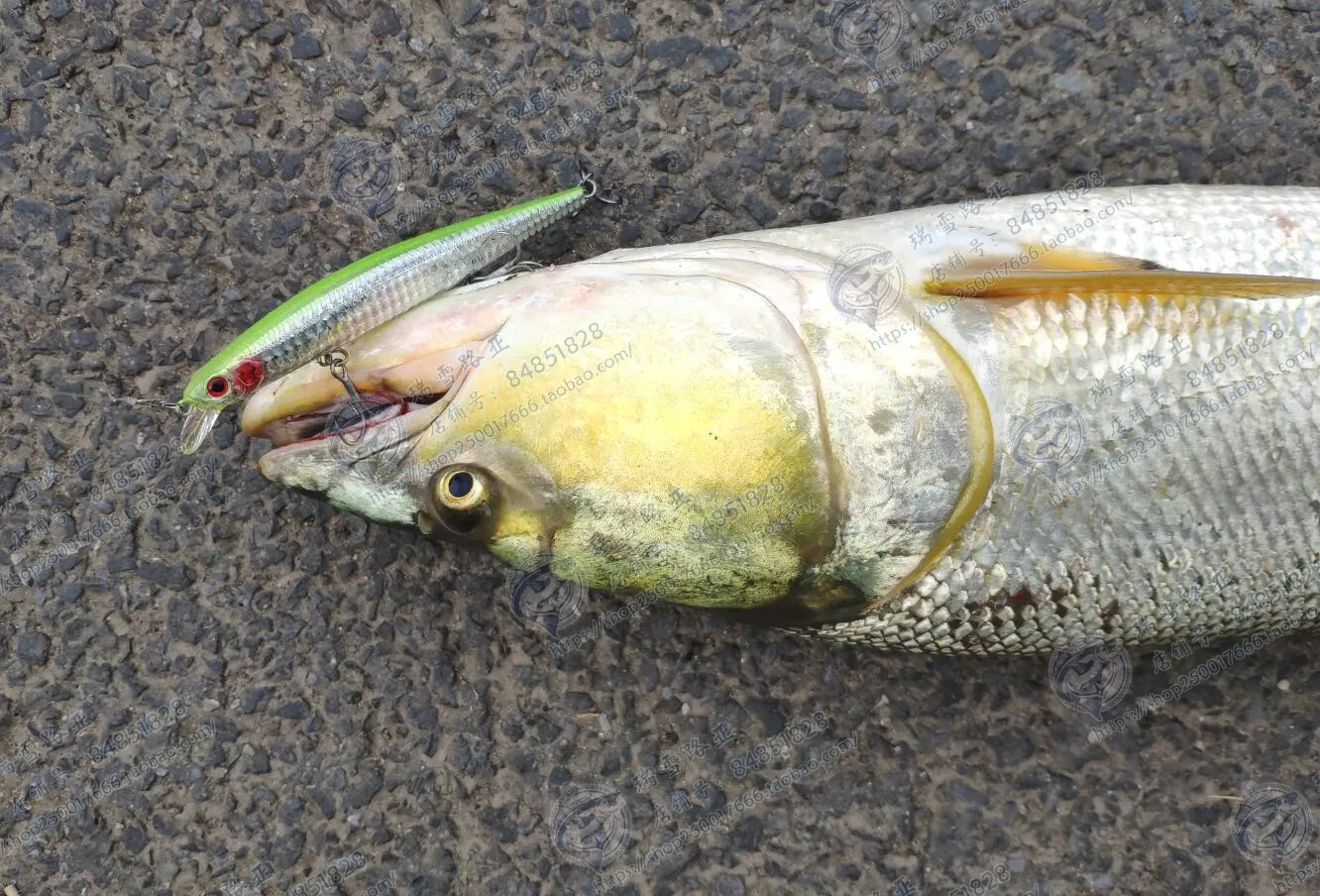 Zipbaits Zbl Japan 139F Floating Mino 19.5G Super Long Throw Tilapia Bass Road Subbait
