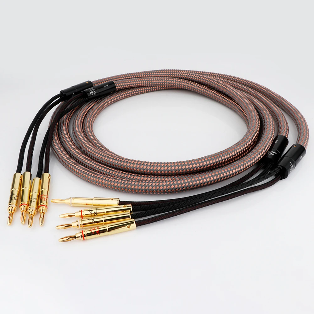 Hifi Audio Speaker Cable 4N Ofc Pure Coppe Gold Plated Banana Plug Amp Accuphase 40Th Anniversaryr Cavo Di Collegamento A Pairs