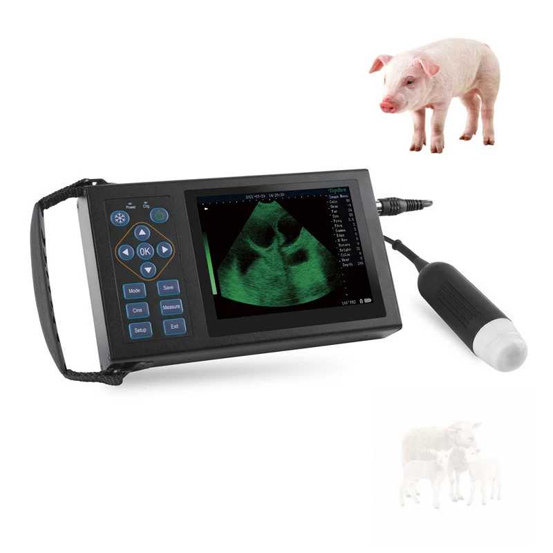 

Ветеринарный ультразвуковой диагностический инструмент, дешевый портативный ручной простой сканер для животных, ветеринарный сканер