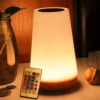 Night Light RGB 13 Color Changing Remote Control Touch Dimmable Lamp Portable Table Bedside Lamps USB Rechargeable Night Lamp 1