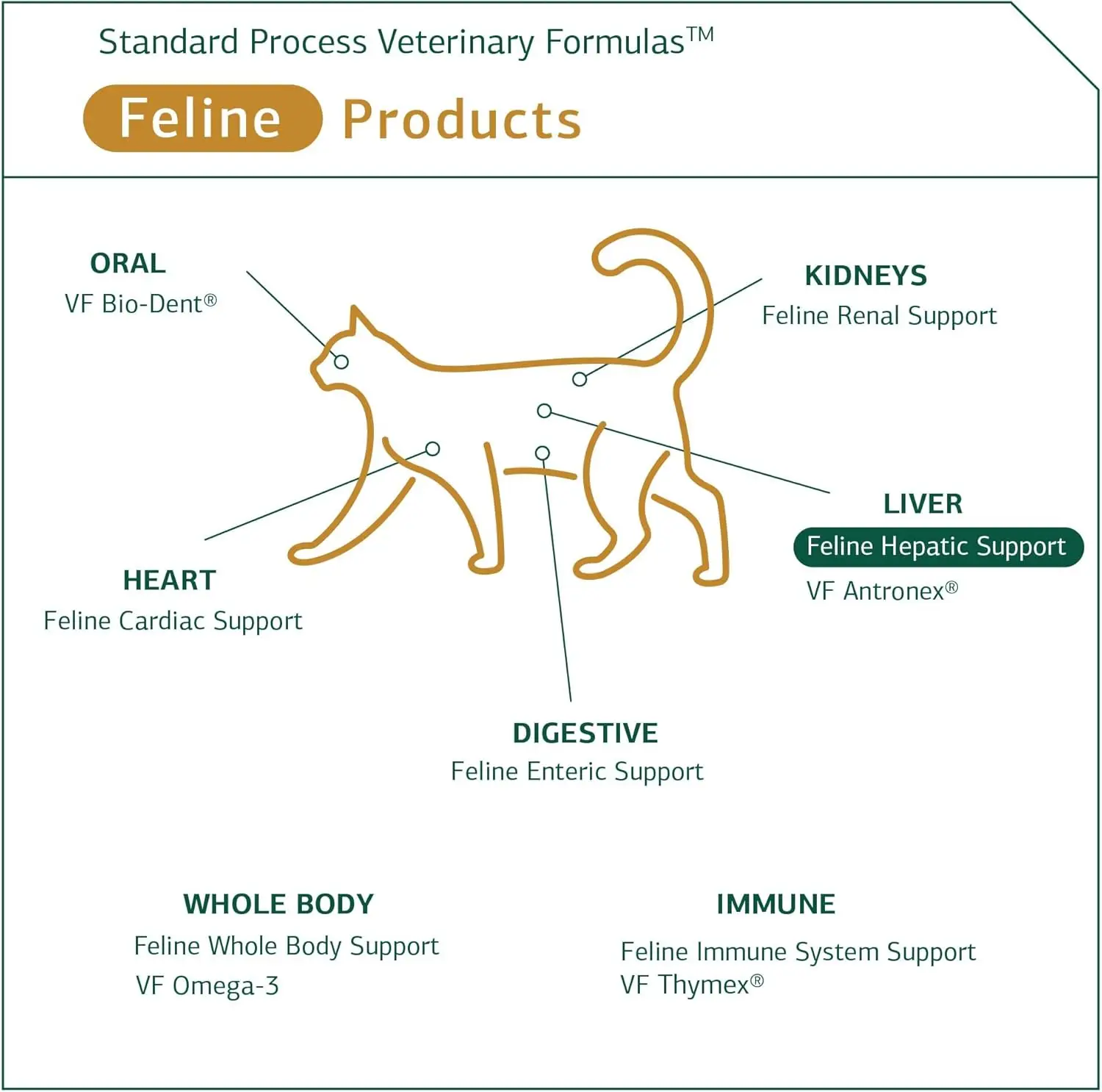 Hepatic Support Cat Health Supplement for Liver Care
