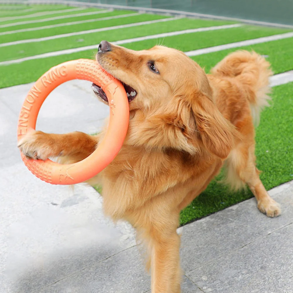 Dog Toys Flying Disk Training Ring Puller EVA Interactive Resistant for Dogs 1pc