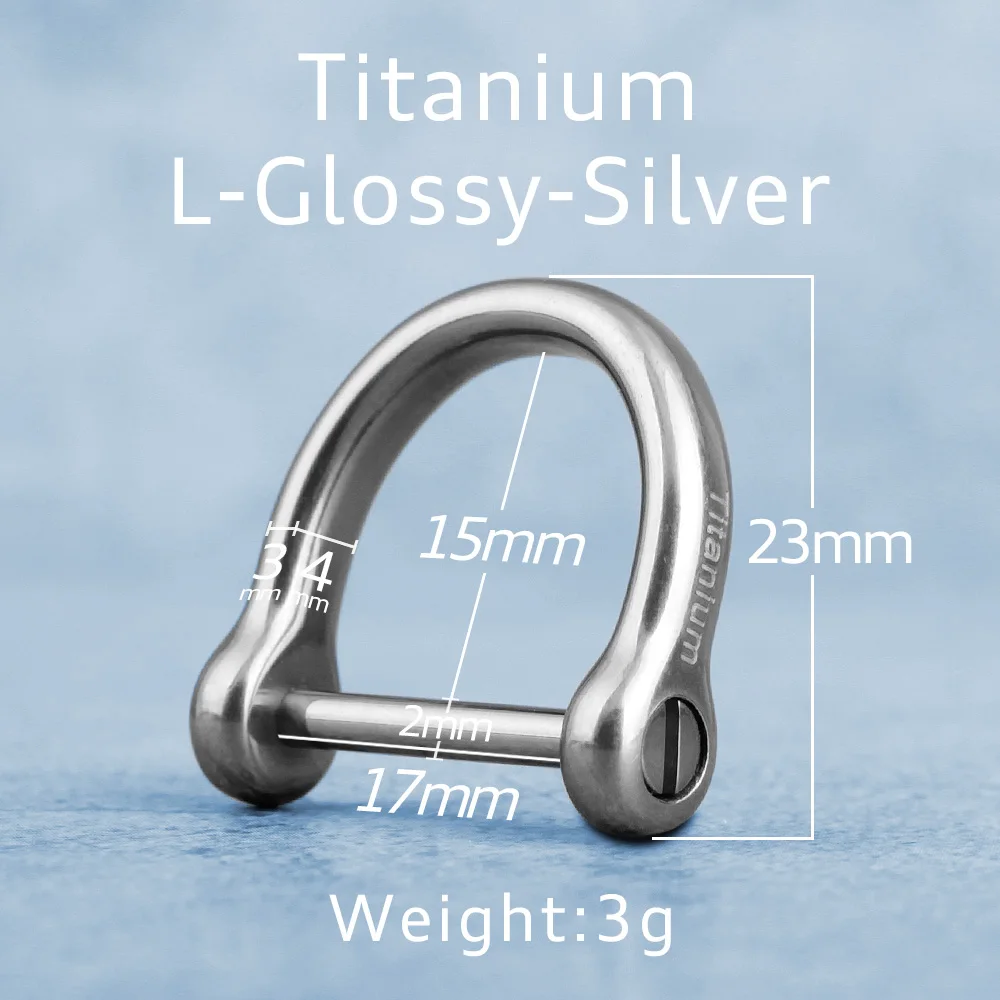 Titanium Luxury Keychain with Blue Matte Glossy Finish - Elegant Horseshoe Buckle Pendant Gift